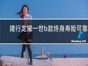 建行龙耀一世b款终身寿险可靠吗