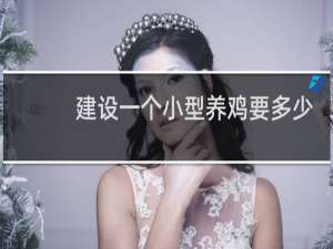 建设一个小型养鸡要多少钱