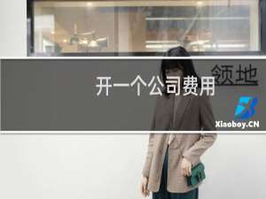 开一个公司费用