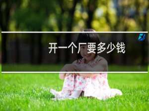 开一个厂要多少钱