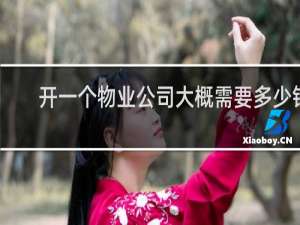 开一个物业公司大概需要多少钱