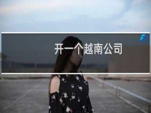 开一个越南公司