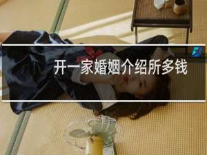 开一家婚姻介绍所多钱