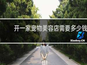 开一家宠物美容店需要多少钱