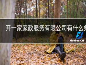 开一家家政服务有限公司有什么条件