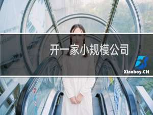 开一家小规模公司