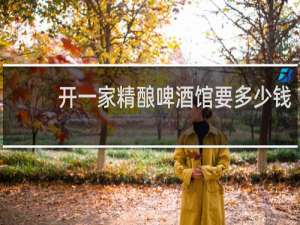 开一家精酿啤酒馆要多少钱