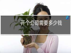 开个公司需要多少钱