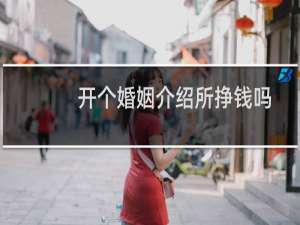 开个婚姻介绍所挣钱吗