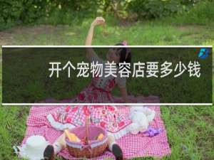 开个宠物美容店要多少钱