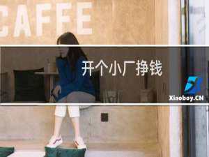 开个小厂挣钱