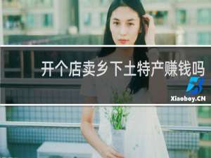 开个店卖乡下土特产赚钱吗