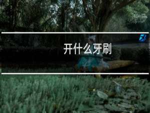 开什么牙刷