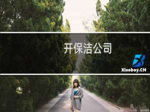开保洁公司