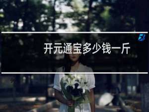 开元通宝多少钱一斤