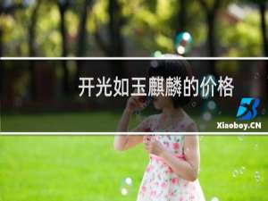 开光如玉麒麟的价格