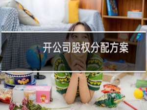 开公司股权分配方案