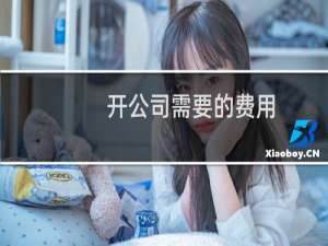 开公司需要的费用