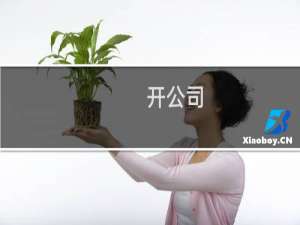 开公司