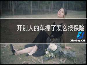 开别人的车撞了怎么报保险