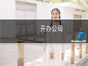 开办公司