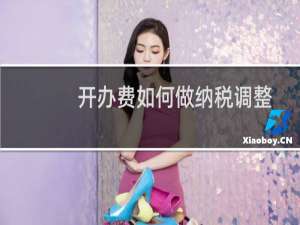 开办费如何做纳税调整（开办费如何摊销）