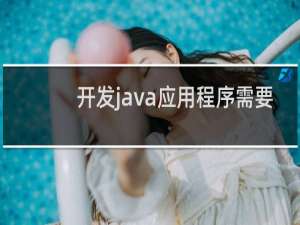 开发java应用程序需要