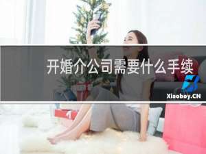 开婚介公司需要什么手续