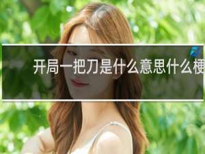 开局一把刀是什么意思什么梗
