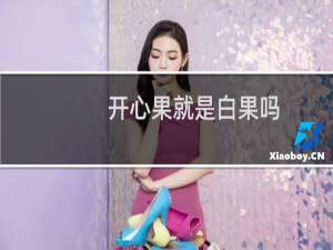 开心果就是白果吗