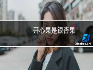 开心果是银杏果