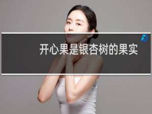 开心果是银杏树的果实
