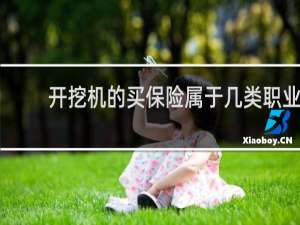 开挖机的买保险属于几类职业