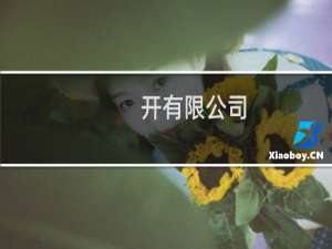 开有限公司
