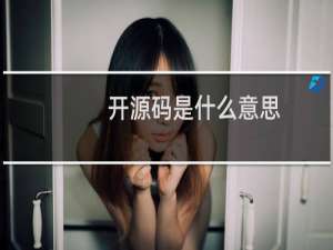 开源码是什么意思