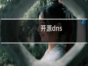 开源dns