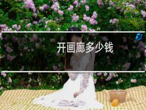开画廊多少钱