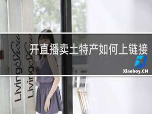 开直播卖土特产如何上链接