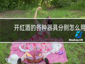 开红酒的各种器具分别怎么用