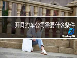 开网约车公司需要什么条件