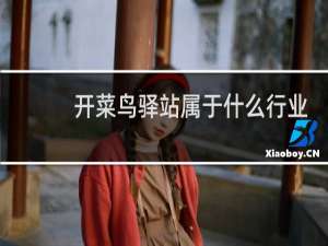 开菜鸟驿站属于什么行业