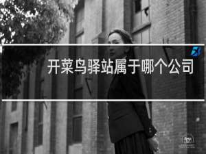 开菜鸟驿站属于哪个公司