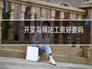 开菜鸟驿站工资好要吗