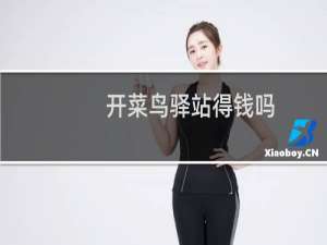 开菜鸟驿站得钱吗