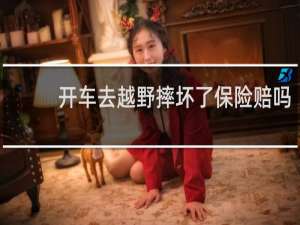 开车去越野摔坏了保险赔吗