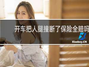 开车把人腿撞断了保险全赔吗