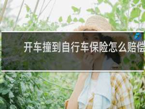 开车撞到自行车保险怎么赔偿