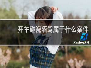 开车碰瓷酒驾属于什么案件