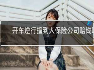 开车逆行撞到人保险公司赔钱吗