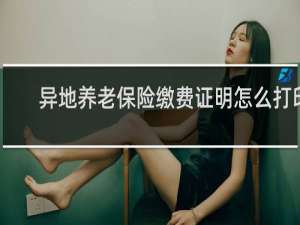 异地养老保险缴费证明怎么打印